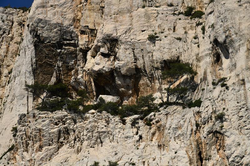 min 2024 04 14 Cassis 159